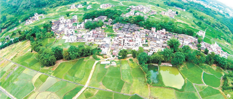 陽(yáng)山縣太平鎮(zhèn)白花村中心小組,村中整合前的土地分布零散,由原來(lái)的78塊田整合成33塊田。