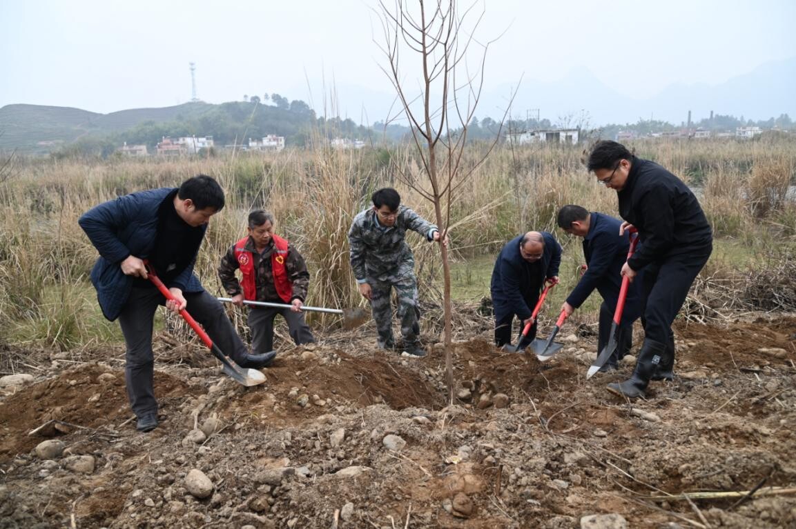 兵“林”城下 退役軍人走在綠美清遠(yuǎn)生態(tài)建設(shè)“第一方陣”，萬株新苗筑牢粵北生態(tài)屏障